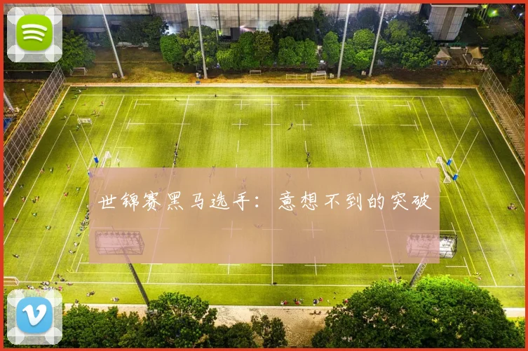 世锦赛黑马选手:意想不到的突破